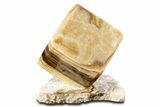 Swirling Polished Chocolate Calcite Cube With Base #342376-1